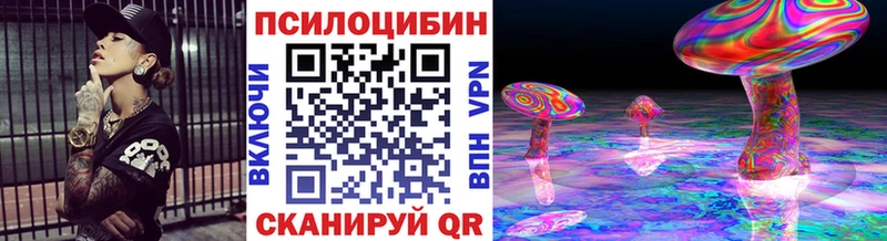 shop как зайти  Павловский Посад  Псилоцибиновые грибы Psilocybine cubensis 
